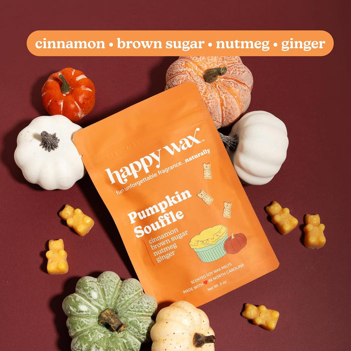 Fall Scented Soy Wax Melts 6oz Variety Pack - Savory Collection