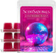 Girlfriend Night, Wild Berry Scent Wax Melts 10oz (24 Cubes)