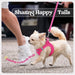Dog Harness Small Sized and Leash Set, Step-in Puppy Pet Vest