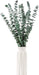 10 Pcs Dried Eucalyptus Stems 17" Real Eucalyptus for Shower Hanging