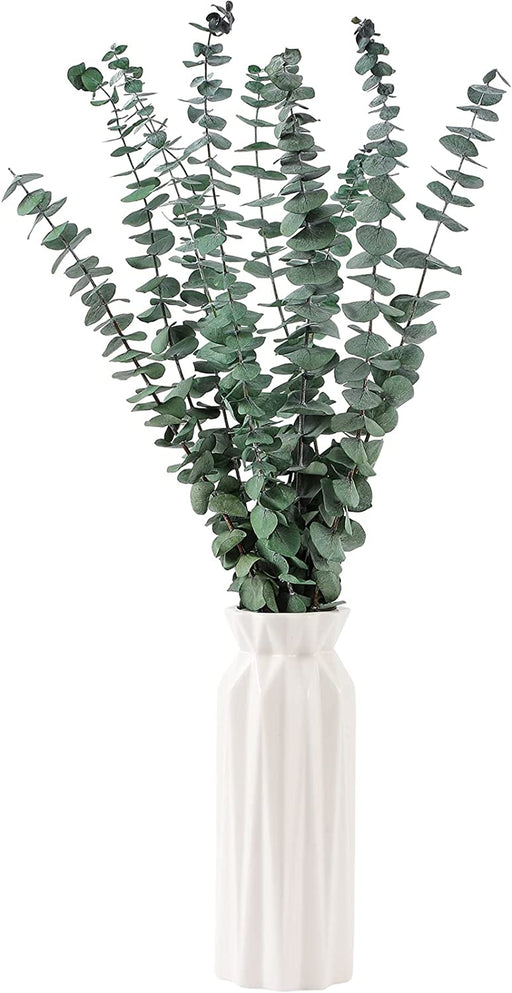 10 Pcs Dried Eucalyptus Stems 17" Real Eucalyptus for Shower Hanging