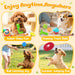 25 Pack Various Dog/Puppy Toys Set for Small & Medium Dogs
