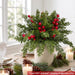 30Pcs Christmas Artificial Pine Branches with Red Berry Stems