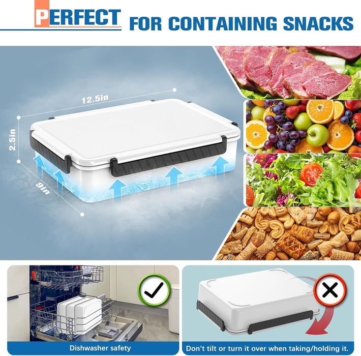 Chilled Portable Snackle Box Container with Ice Pack, Divided Serving Tray with Insulated Bag, Beach Essentials for Summ