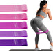 Resistance Loop Exercise Bands, Resistance Bands Exercise Bands for Home Fitness, Stretching, Strength Training, Physica