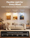 Picture Light for Wall, 4800mAh Rechargeable Wireless Remote, 16‘’ Dimmable Magnetic LED Art Display Light with 3 Color Temperatures, for Gallery, Living Room, Bedroom, Hallway (Gold)