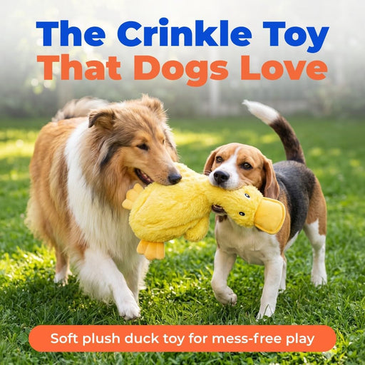 Interactive Squeaky Dog Toy - Crinkle Duck, Yellow