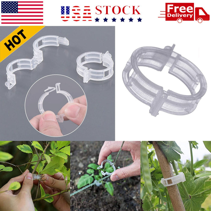 250-Pack Clear Plant Support Clips, 23 mm