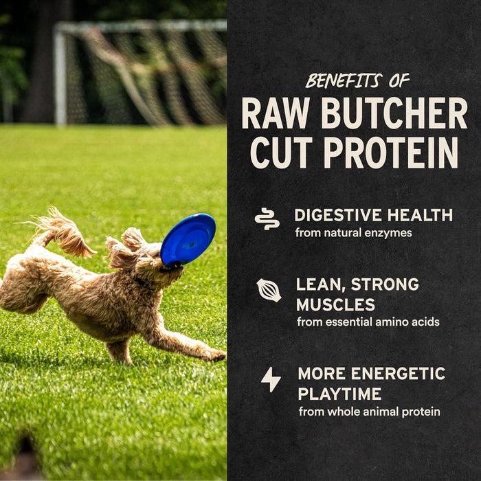 Freeze Dried Dog Treats, Beef Liver, 2.1 oz Bag