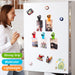 12 Pack Chip Clips Bag Clips, Magnetic Bag Clip for Food Storage
