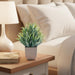 Fake Plants 4 Packs Small Artificial Greenery Mini White Potted Plants Bathroom Accessories Decorations for Desk Bathroom Office Home Room Kitchen Table Indoor