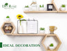 6 Pack Succulents Fake Plants for Bedroom Bathroom Home Decor