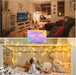 200 LED Warm White & Multicolor Color Changing String Lights