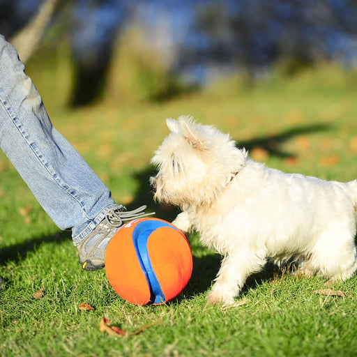 Kick Fetch Ball Dog Toy, Large, 8in, for Large Dogs, Floats