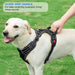 No Pull Dog Harness Adjustable Reflective Oxford Easy Control Medium Large Dog Harness with A Free Heavy Duty 5ft Dog Leash, Blue, L
