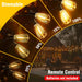 100FT Solar String Lights Outdoor Waterproof with Remote & Timer, LED Shatterproof ST38 Bulbs, USB & Solar Powered Patio Lights for Backyard, Porch, Garden, Wedding Decor, Dusk to Dawn Lighting