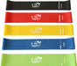 Resistance Loop Exercise Bands with Instruction Guide and Carry Bag, Set of 5