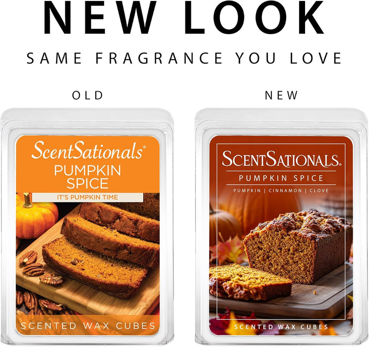 Pumpkin Spice Scented Wax Melts - Pumpkin, Cinnamon, & Clove, 10oz (24 Cubes)