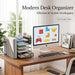5-Tier Desk File Organizer with Drawer & Pen Holder (Black)