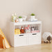 Book and Toy Storage Cabinet