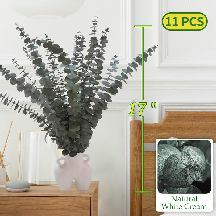 11 PCS Real Dried Eucalyptus Stem for Shower & Bathroom Decor