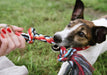Dog Rope Toys, 4 Pack Cotton Puppy Teething and Chew Toys