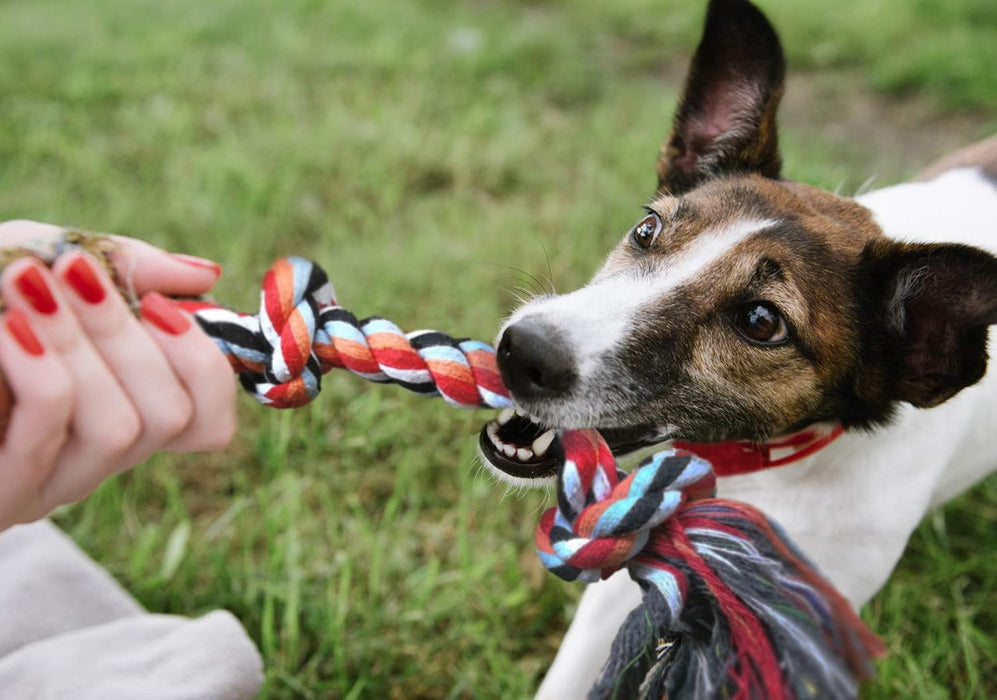 Dog Rope Toys, 4 Pack Cotton Puppy Teething and Chew Toys
