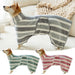 Quick-Drying Absorbent Dog Bathrobe