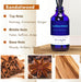 Reed Diffuser Set with Sticks, Sandalwood Scented Oil Diffuser for Bathroom, Room Fresheners, Home Fragrance Bedroom Off