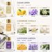Reed Diffuser Set of 3,Clean Linen Cashmere Vanilla Lavender Garden Oil Reed Diffusers for Bedroom Living Room Office Aromatherapy Oil Reed Diffuser for Gift 50ml x 3