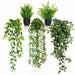 5 Pack Fake Plants - Artificial Hanging Plants & Small Potted Faux Eucalyptus Fern Ivy, UV Resistant Maintenance-Free, f