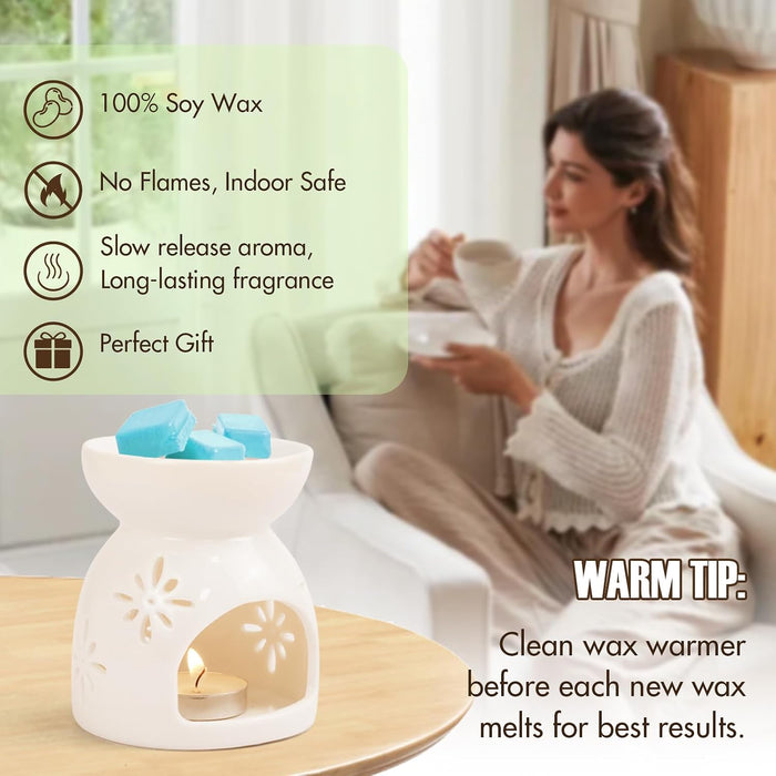 Wax Melts, Fall Scented Wax Cubes for Wax Warmer, 4 x 2.5 oz