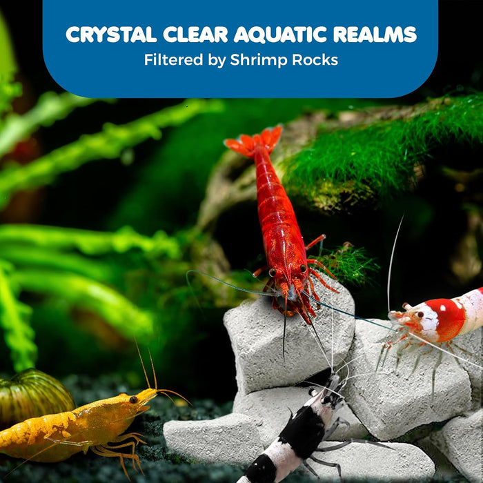 Shrimp Rocks, for Crayfish, Hermit Crab, Snails, Crystal Red, Amano, and Ghost Shrimps (60 Grams)