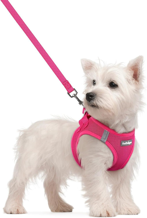 Dog Harness Small Sized and Leash Set, Step-in Puppy Pet Vest