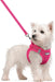 Dog Harness Small Sized and Leash Set, Step-in Puppy Pet Vest