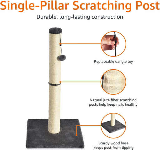 Cat Scratching Post for Indoor Cats & Kittens, Medium (31.5"H), Cat Furniture with Dangling Ball Toy, Grey