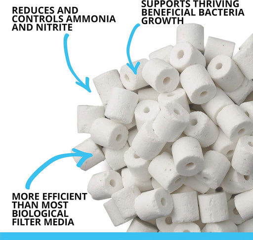 BioMax Biological Material Remover, 500 g