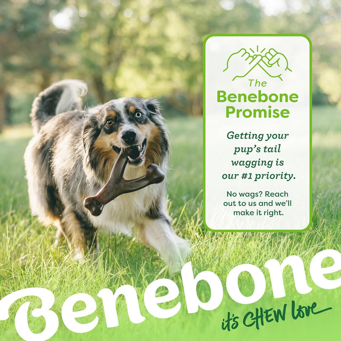 Wishbone Dog Chew Toy for Aggressive Chewers, Real Bacon, Medium