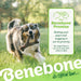 Wishbone Dog Chew Toy for Aggressive Chewers, Real Bacon, Medium