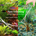 4Pcs Aquascaping Tools, Aquascape Kit, Long and Strong Aquarium Tweezers, Scissors, Algae Scraper, Aquarium Plant Tools,