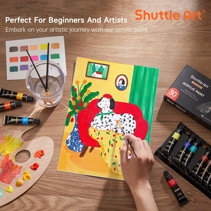 Acrylic Paint Set, 30 x12ml Tubes Artist Quality Non Toxic Rich Pigments Colors Great for Kids Adults Professional Painting on Rocks Canvas Wood Clay Fabric Ceramic Crafts