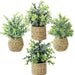 Small Fake Plants, 4 Pack Artificial Plants in Handwoven Seagrass Baskets