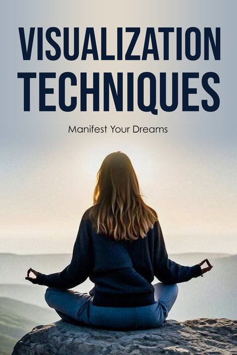 Visualization Techniques ebook cover