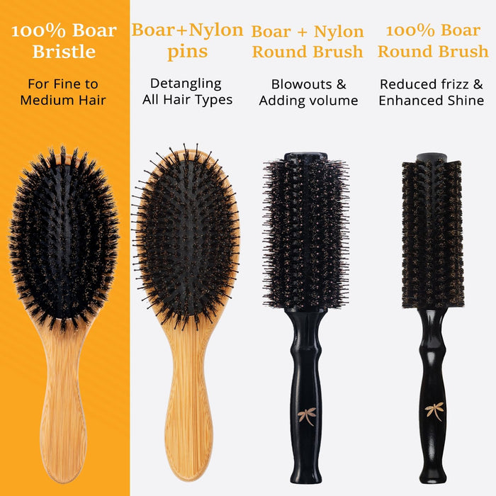 100% Boar Bristle Hair Brush Set, Medium, for Thin and Fine Hair