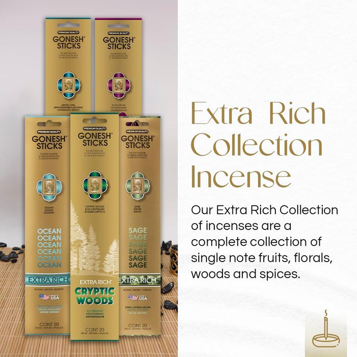 - Extra Rich Scented Incense Sticks Variety Pack - Non-Toxic 10” Slow Burn Aromatic Sticks - Ocean, Cryptic Woods, Sage,