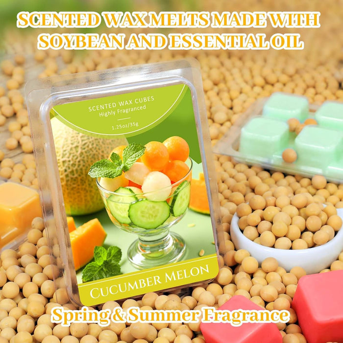 Wax Melts, Scented Wax Melt Soy Wax Cubes 6 Scents for Wax Warmers