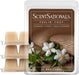 Feelin' Cozy - Cashmere Scented Wax Melts 10oz (24 Cubes)