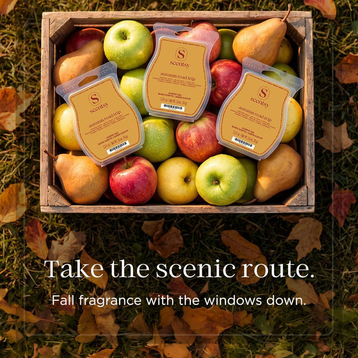 Wax Melts, Autumn Road Trip 3 Bar Set, Paraffin Wax Cubes, 7.8 oz