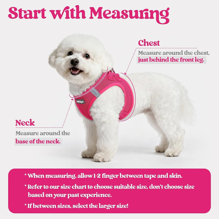 Dog Harness Small Sized and Leash Set, Step-in Puppy Pet Vest