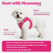 Dog Harness Small Sized and Leash Set, Step-in Puppy Pet Vest